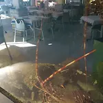 Gina Oda ve Kahvaltı Tisno