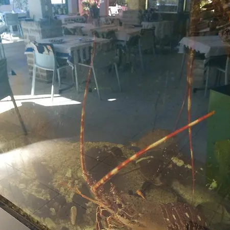 Gina Bed and Breakfast Tisno