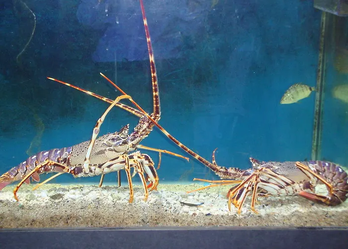 ベッド・アンド・ブレックファスト Gina ティスノ