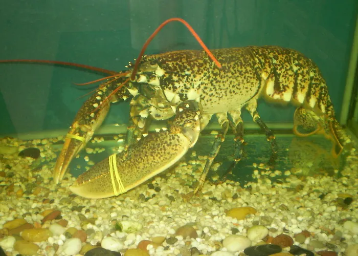 Gina Bed & Breakfast 3*