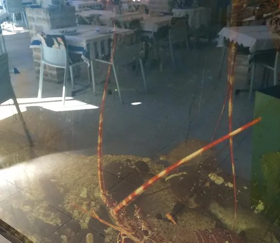 Gina Bed & Breakfast Отель типа 